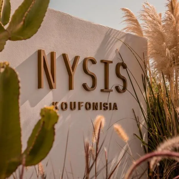 Nysis Koufonisia，位于考弗尼西亚的酒店