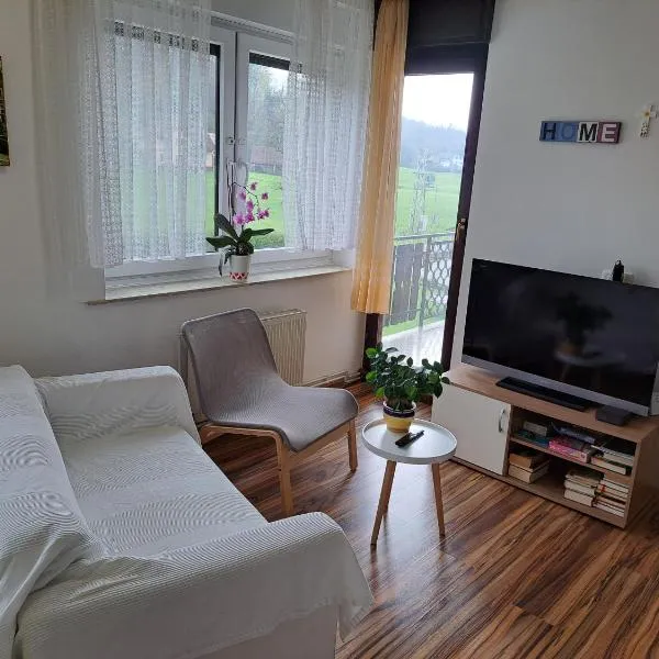 Apartments Bukor，位于Lukovica pri Domžalah的酒店