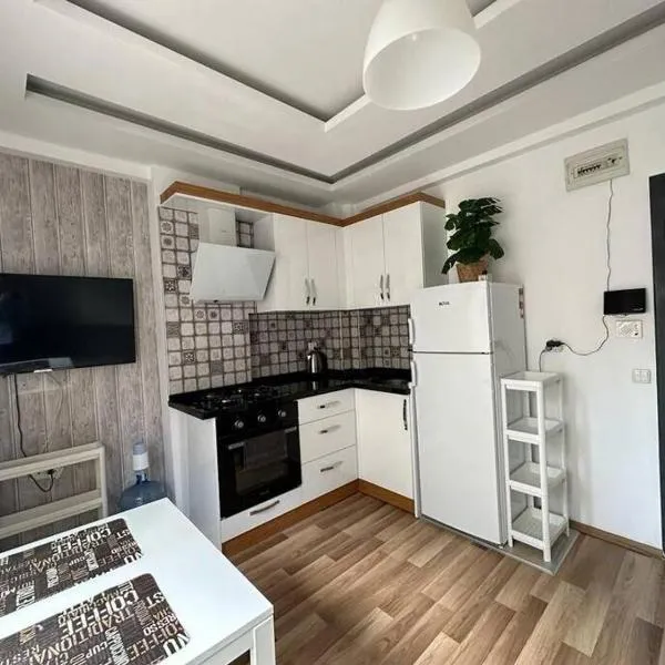 Deniz One Bedroom Appartment，位于梅尔辛的酒店