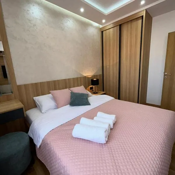 Perla Lux 2 Apartments，位于阿然德洛维克的酒店