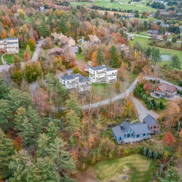 Mountainside at Stowe，位于斯托的酒店