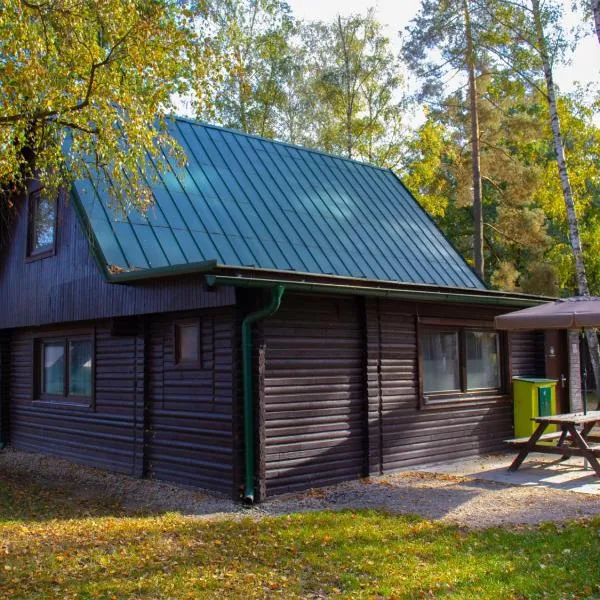 Holiday Home Kemp Stříbrný rybník-6 by Interhome，位于赫拉德茨 - 克拉洛韦的酒店