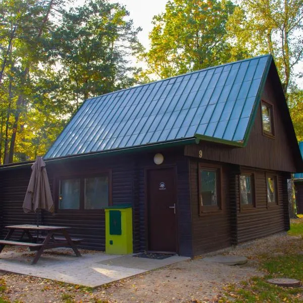Holiday Home Kemp Stříbrný rybník-9 by Interhome，位于赫拉德茨 - 克拉洛韦的酒店
