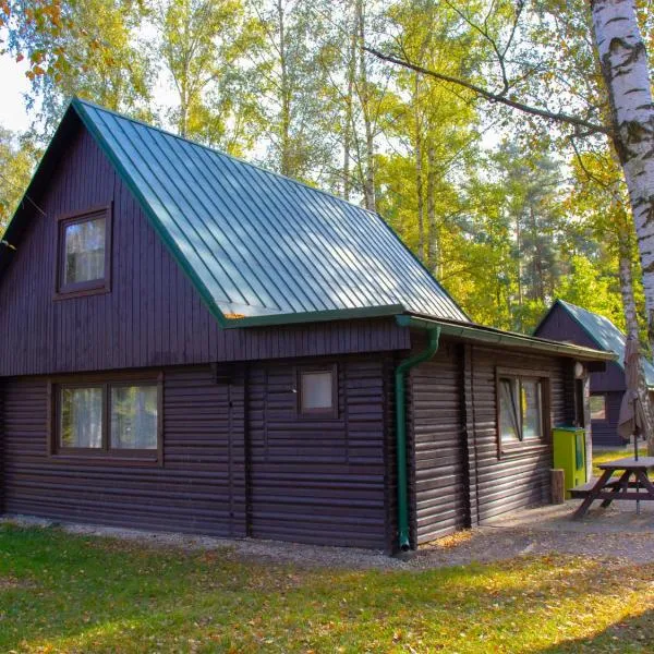 Holiday Home Kemp Stříbrný rybník-5 by Interhome，位于赫拉德茨 - 克拉洛韦的酒店