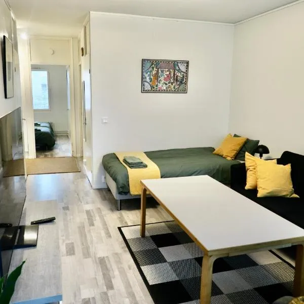 Havi Apartment，位于Tervakoski的酒店