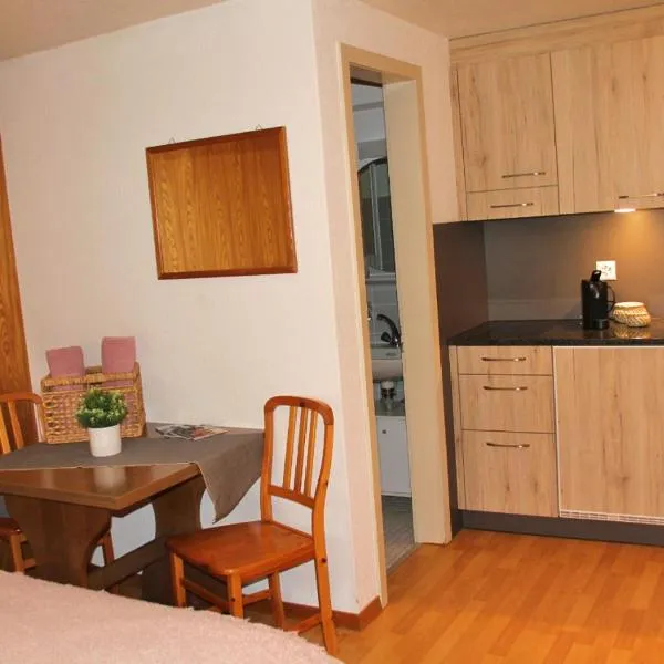 5Min Walk To Audi FIS Ski World Cup Swiss Studio，位于阿德尔博登的酒店