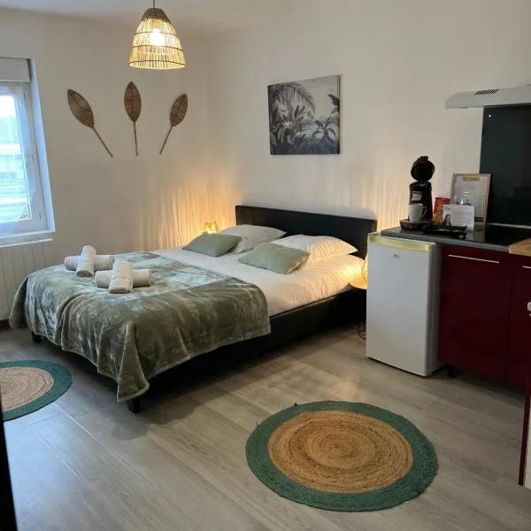 L'Auberge de la gare, appartements tout confort, proches Gare，位于Yzeure的酒店