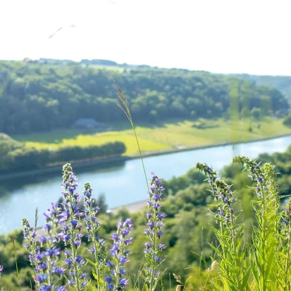 Retro getaway at the Meuse valley，位于Waulsort的酒店