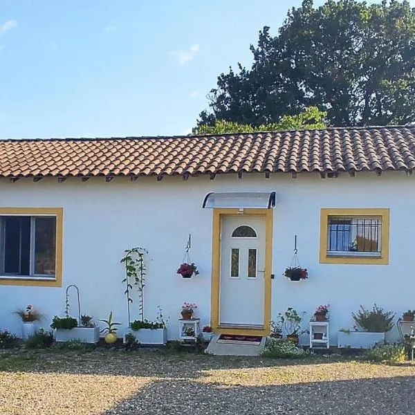 Gite aux fleurs，位于阿热莫的酒店