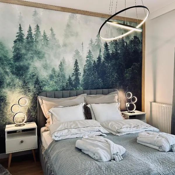 Mountain Shine - Apartment, SPA and Parking，位于扎科帕内的酒店