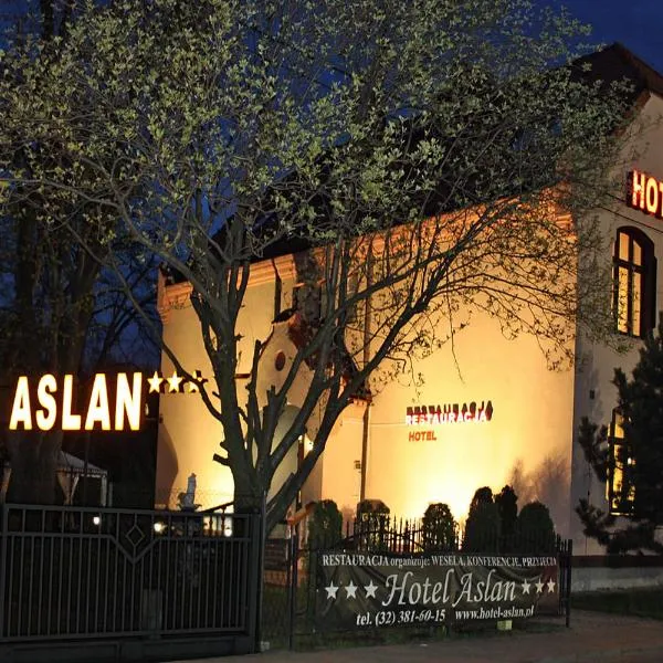 Hotel Aslan，位于Orzech的酒店