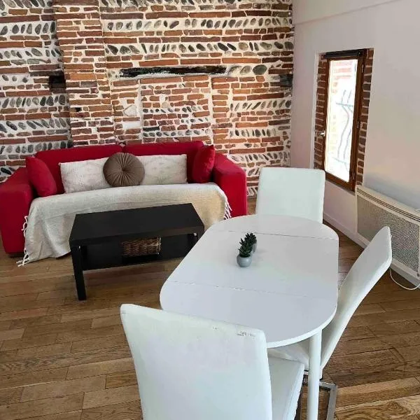 Appartement de charme Toulouse nord，位于Aucamville的酒店