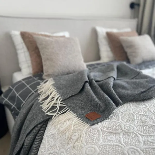 Day off apartment I Mano jūra 3，位于帕兰加的酒店