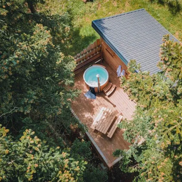 Cabane Chalet avec spa privatif，位于Vorges-les-Pins的酒店