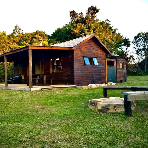 Pura Vida Forest Cabin，位于Witelsbos的酒店