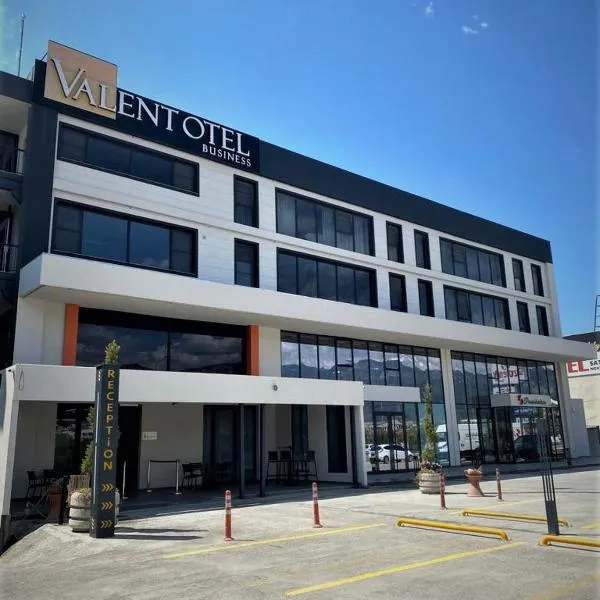 VALENT OTEL BUSINESS，位于Altınkum的酒店
