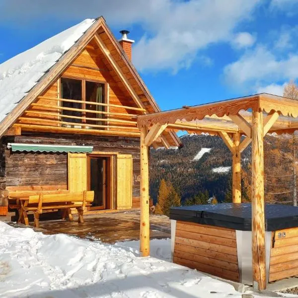 Kerschbaumer Chalet，位于Predlitz的酒店