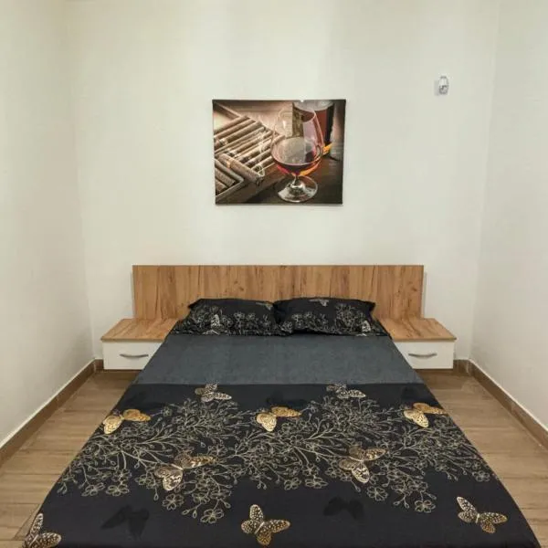 Militari Comfort Studio，位于Roşu的酒店