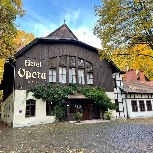 歌剧院酒店 ，位于格但斯克雷比赫瓦的酒店