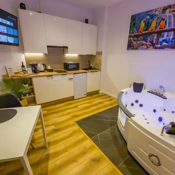 Punkt - Apartamenty z jacuzzi w centrum Katowic，位于卡托维兹的酒店