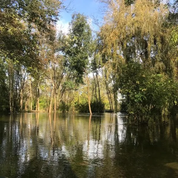 Ancien moulin à eau sur la Seugne，位于Mosnac的酒店