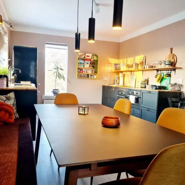 2 bedroom apartment with a loft- close to downtown，位于雷克雅未克的酒店