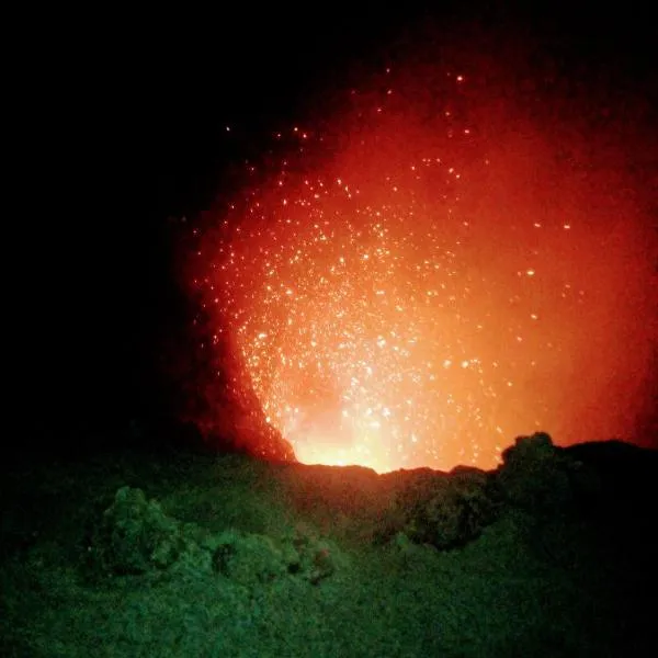 Glowing Mountain view tree house，位于Loanengo的酒店