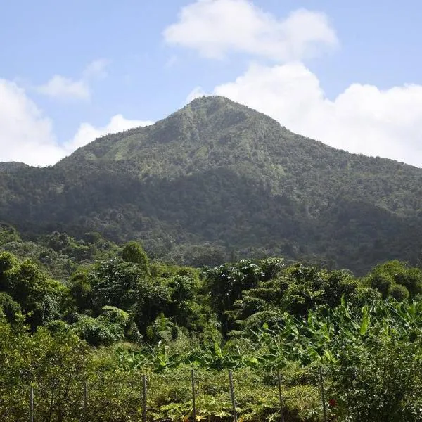 O Logis du Morne Jacob "CITRON", Le Morne-Rouge Martinique，位于Canton Suisse的酒店