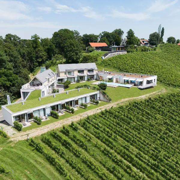 RELAX APARTMENTS An der Lage Hochgraßnitzberg，位于施皮尔费尔德的酒店