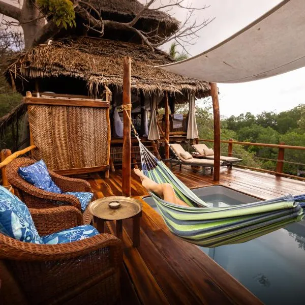 Chole Mjini Treehouses Lodge，位于Baleni的酒店