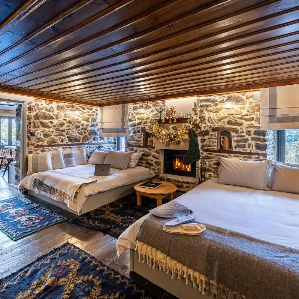Dandy Villas Metsovo-Mezzo-Down Town-Up 5，位于美特索文的酒店