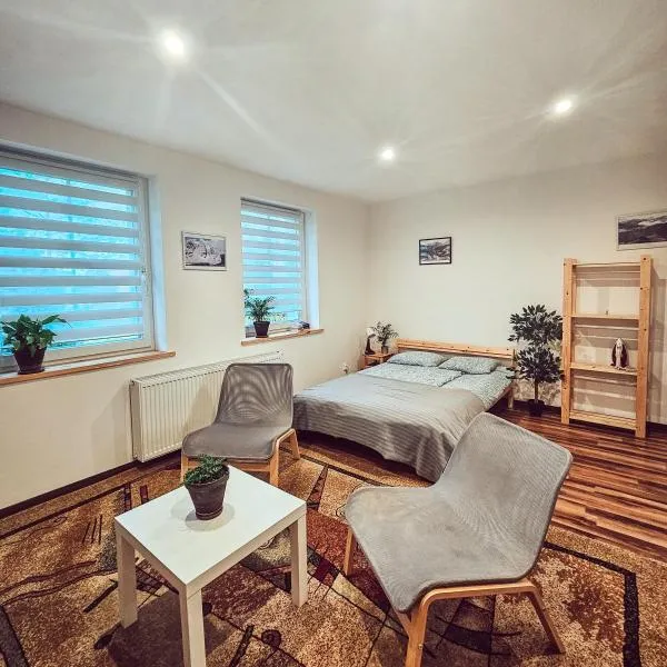 Apartament 5 minut od Parku Zamkowego，位于普什奇纳的酒店