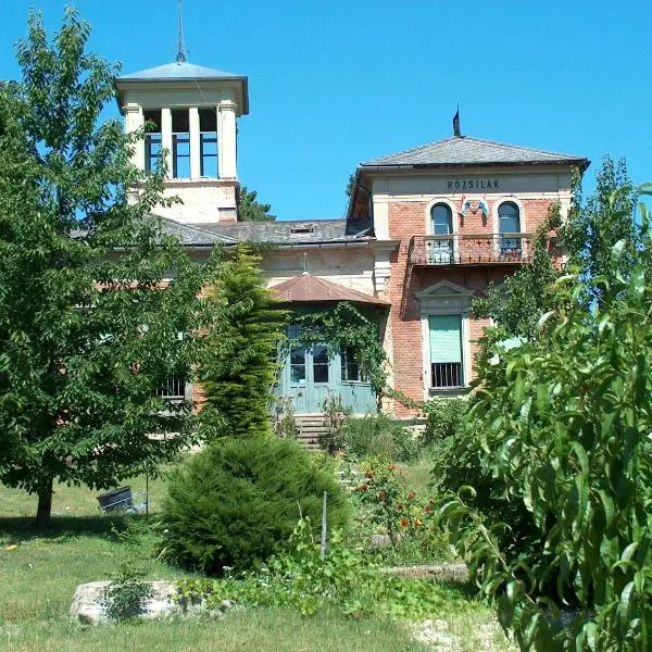 Rózsilak，位于巴拉顿菲赖德的酒店
