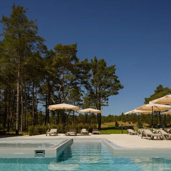 Hotel Saltic Resort & Spa Łeba，位于韦巴的酒店
