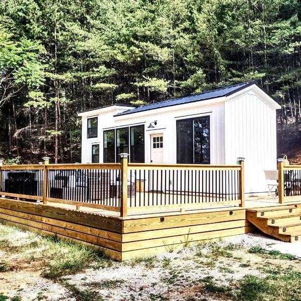 Tiny Home Big Fun，位于诺克斯维尔的酒店