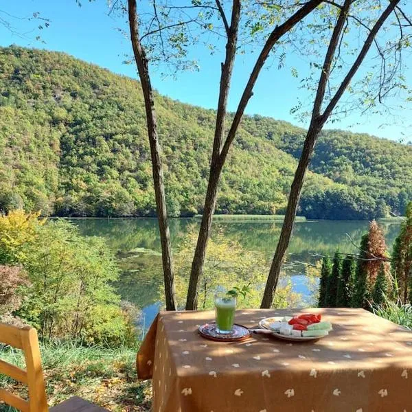 "Kod dva kestena" Warm and cozy house with a private lake access，位于Međuvršje的酒店