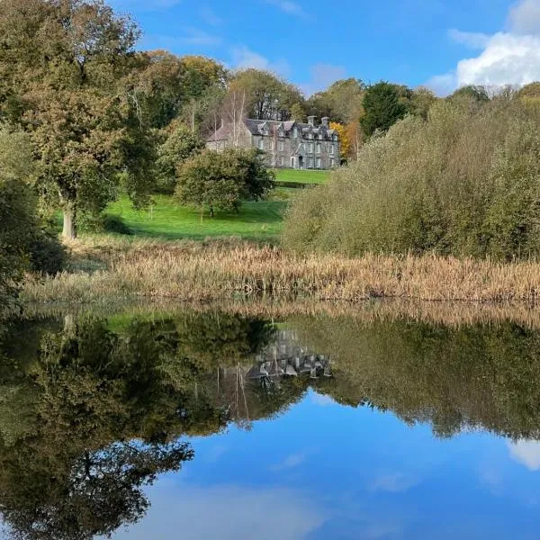 Noyadd Trefawr，位于纽卡斯尔埃姆林的酒店