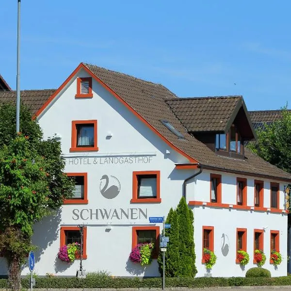 Hotel Schwanen，位于莱茵河畔凯尔的酒店