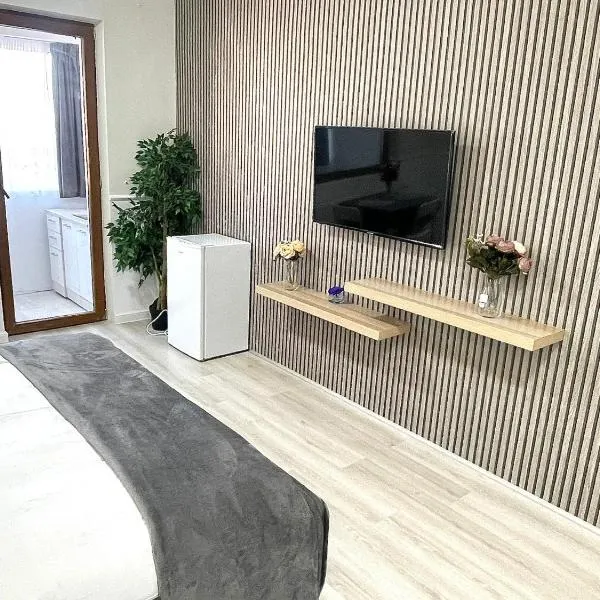 Baneasa Luxury Apartaments，位于布加勒斯特的酒店