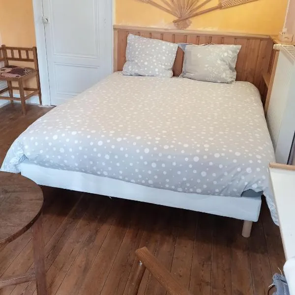 chambre chez l'habitant, axe A62, à 20 min d' ouest d'Agen, parking dans la rue gratuit, accès cuisine, convivial，位于Port-Sainte-Marie的酒店