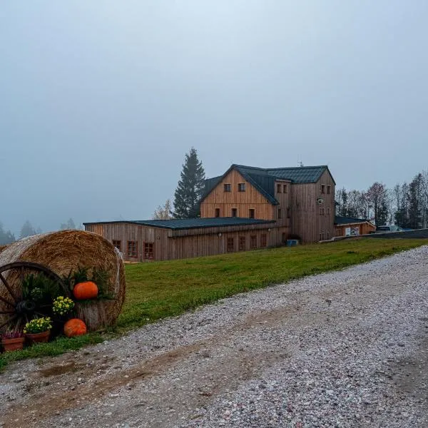 Horská bouda Krakonoš，位于切尔尼杜尔的酒店