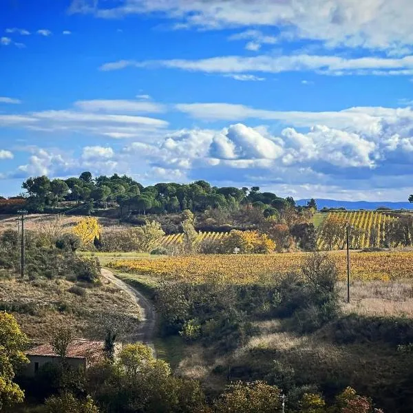 Logis Hôtel Restaurant La Bergerie，位于Aragon的酒店