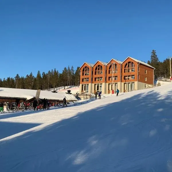 Unikt boende, bästa läge, ski-in/ski-out Björnrike，位于韦姆达伦的酒店