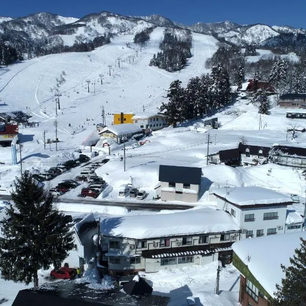 White Lodge Fukujuso，位于饭山市的酒店