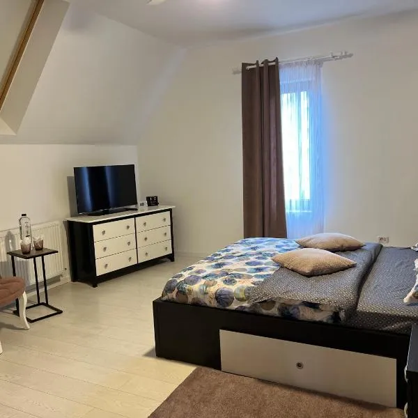 Un apartament deosebit, aerisit, ultracentral.，位于Horodnicu de Jos的酒店