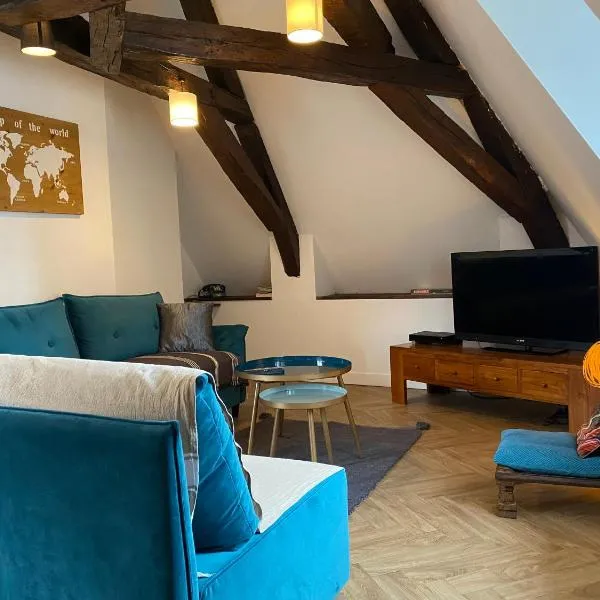 Le KT-Dral - Appartement hypercentre，位于布尔日的酒店