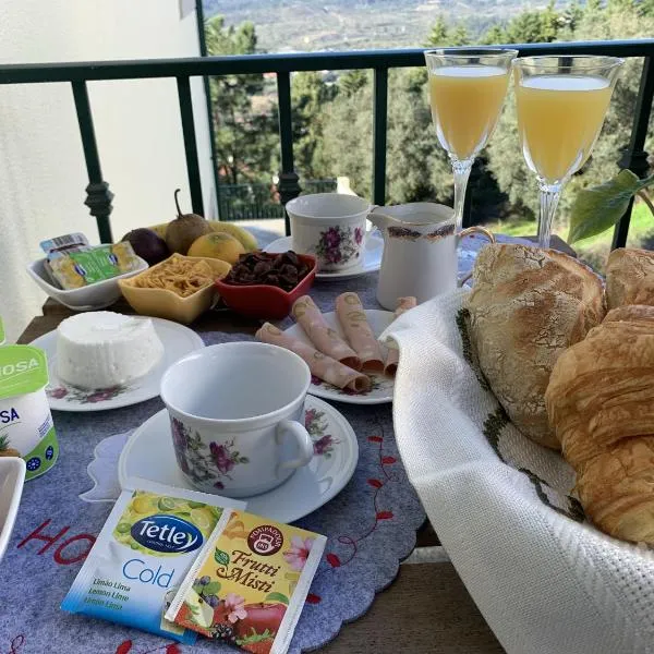 Charming Cozy Retreat - Terrace & Private Balcony，位于科英布拉的酒店