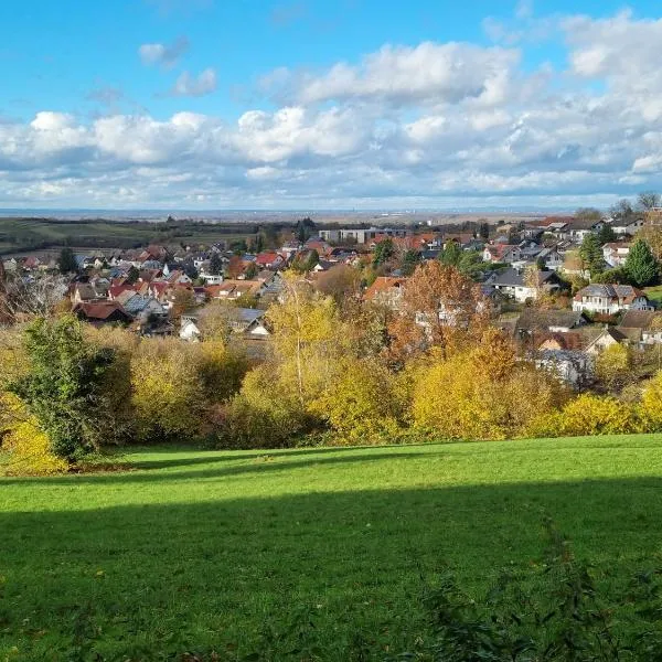 Ferienwohnung Waldblick，位于Heiligenzell的酒店