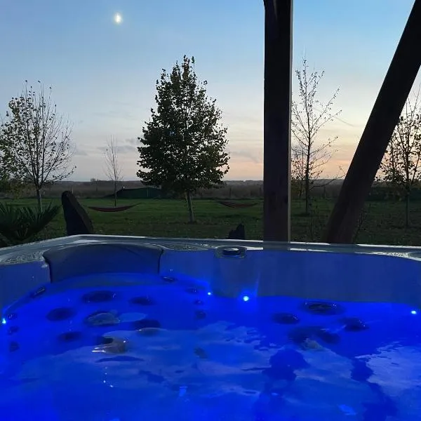 Gite au gré de la Loire: massage, piscine et spa，位于Bauné的酒店