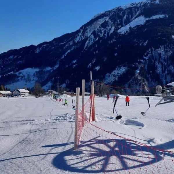 Stilvolle Wohnung mit traumhaftem Bergblick，位于迪森蒂斯的酒店